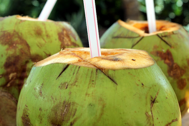 Coconut Water: Nature’s Natural Electrolyte Solution